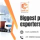 Biggest pharma exporters in india